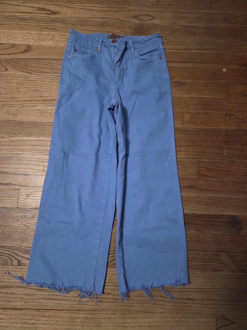 Judy Blue Wide-Leg Short Jeans in Light Blue with Frayed Hem